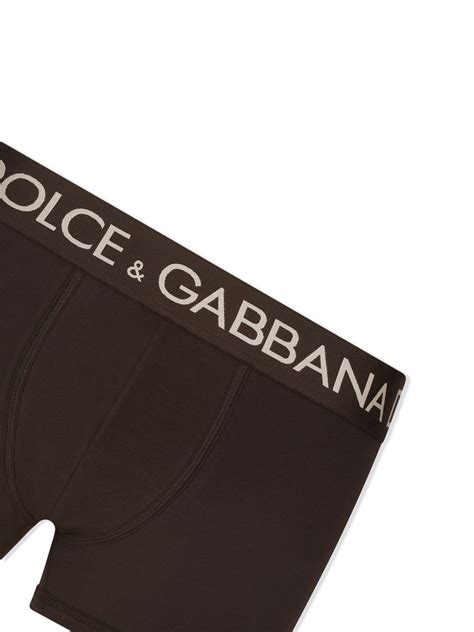 farfetch dolce gabbana boxers.